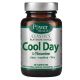 Power Health Classic Platinum Cool Day 30 tablets