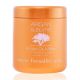 FARMAVITA ARGAN SUBLIME Argan Mask - 1000ml