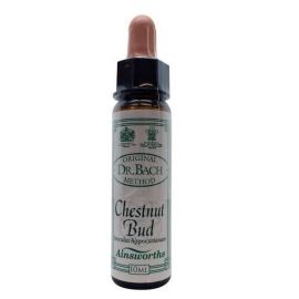 AINSWORTHS-CHESTNUT BUD 10ml