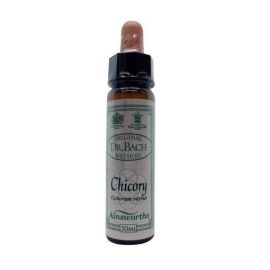 AINSWORTHS-CHICORY 10ml