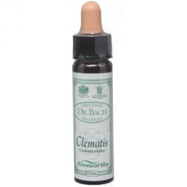 AINSWORTHS-CLEMATIS 10ml