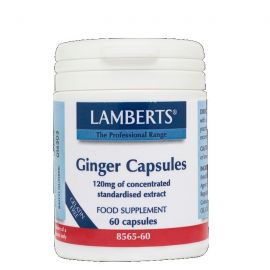 LAMBERTS GINGER 120 mg 60 caps