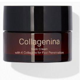 Labo Collagenina Neck Cream Grade 1 Κρέμα Λαιμού με 6 Μόρια Κολλαγόνου, 50ml